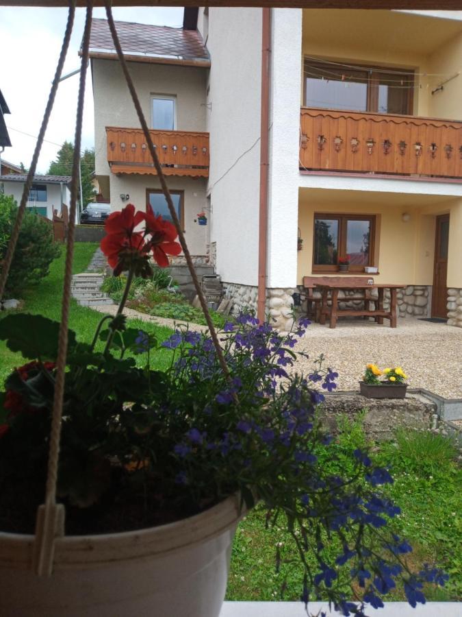Sifra 276 호텔 Nová Lesná 외부 사진